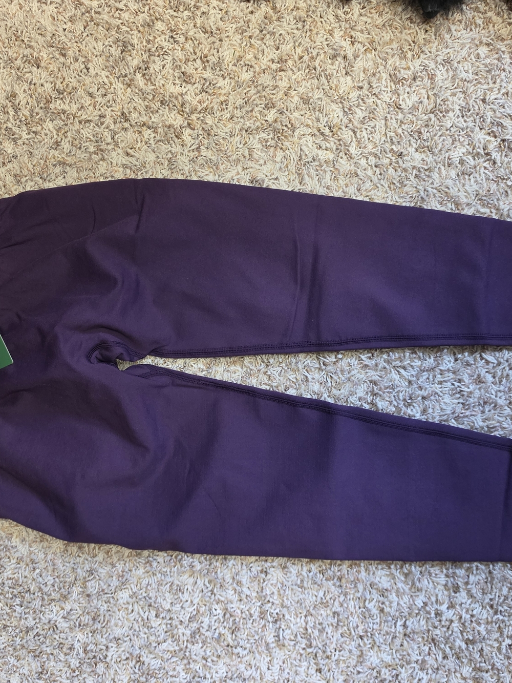 HALARA Purple High-Rise Leggings